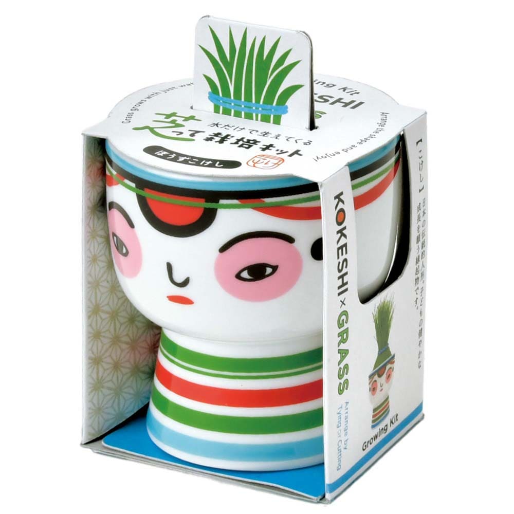 芝って栽培キット KOKESHI GD-104802 ぼうず【プラザセレクト】