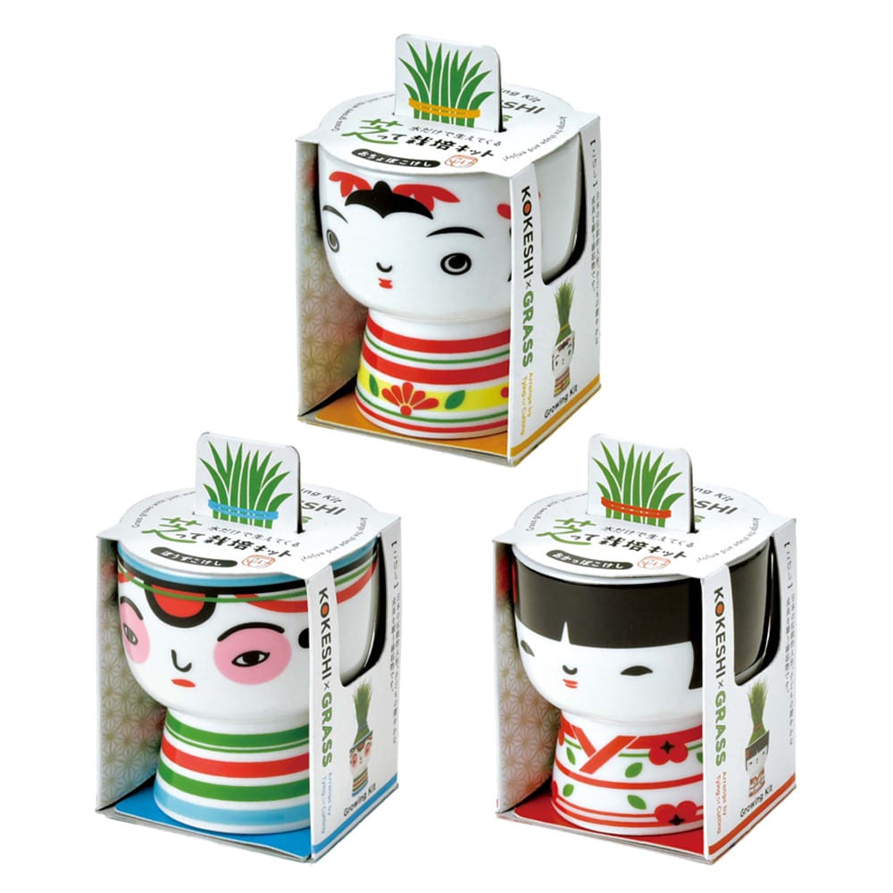 【3種セット】芝って栽培キット KOKESHI 【プラザセレクト】