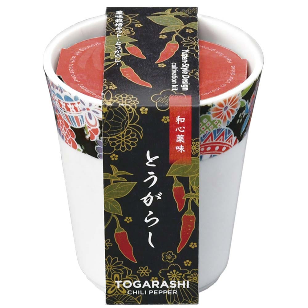 和心薬味 GD-104902 とうがらし【プラザセレクト】