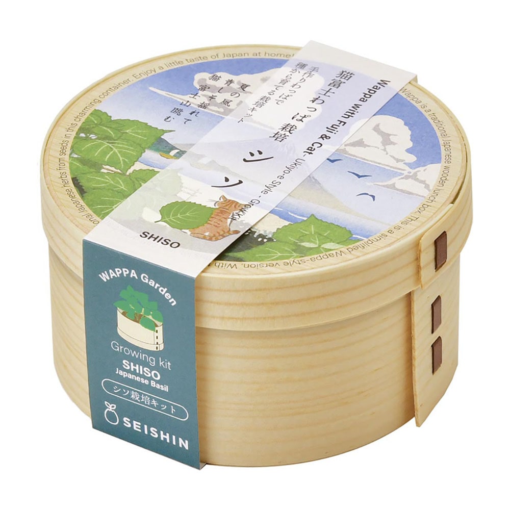 猫富士わっぱ GD-105002 シソ【プラザセレクト】