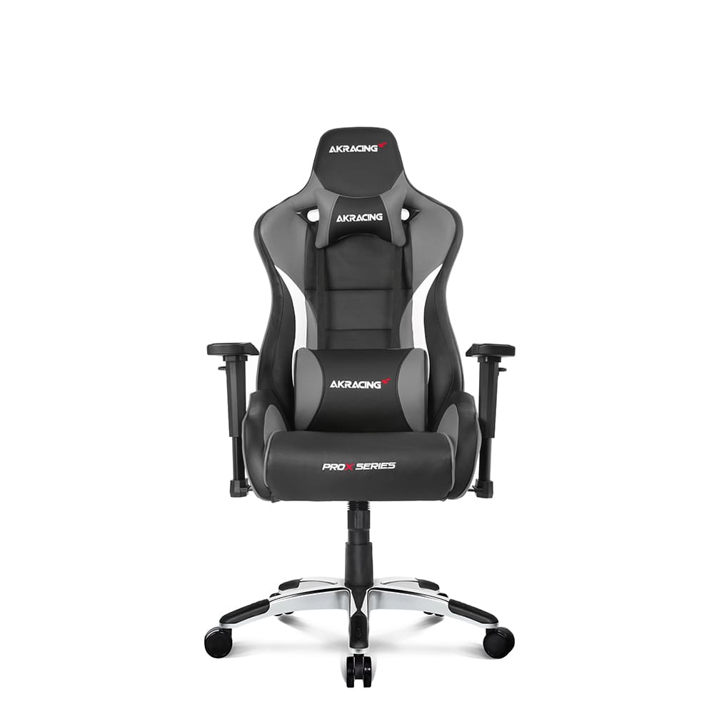 ＼13倍マイル！6月14日まで／AKRacing AKRacing Pro-X V2 AKR-PRO-X/GREY/V2 グレー【プラザセレクト】
