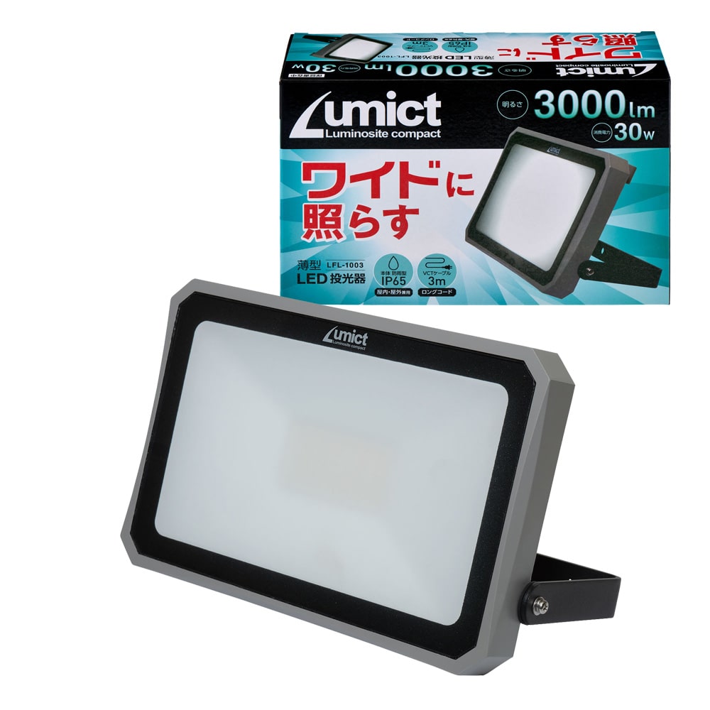 ELPA AC式投光器3000LM LFL-1003 【プラザセレクト】