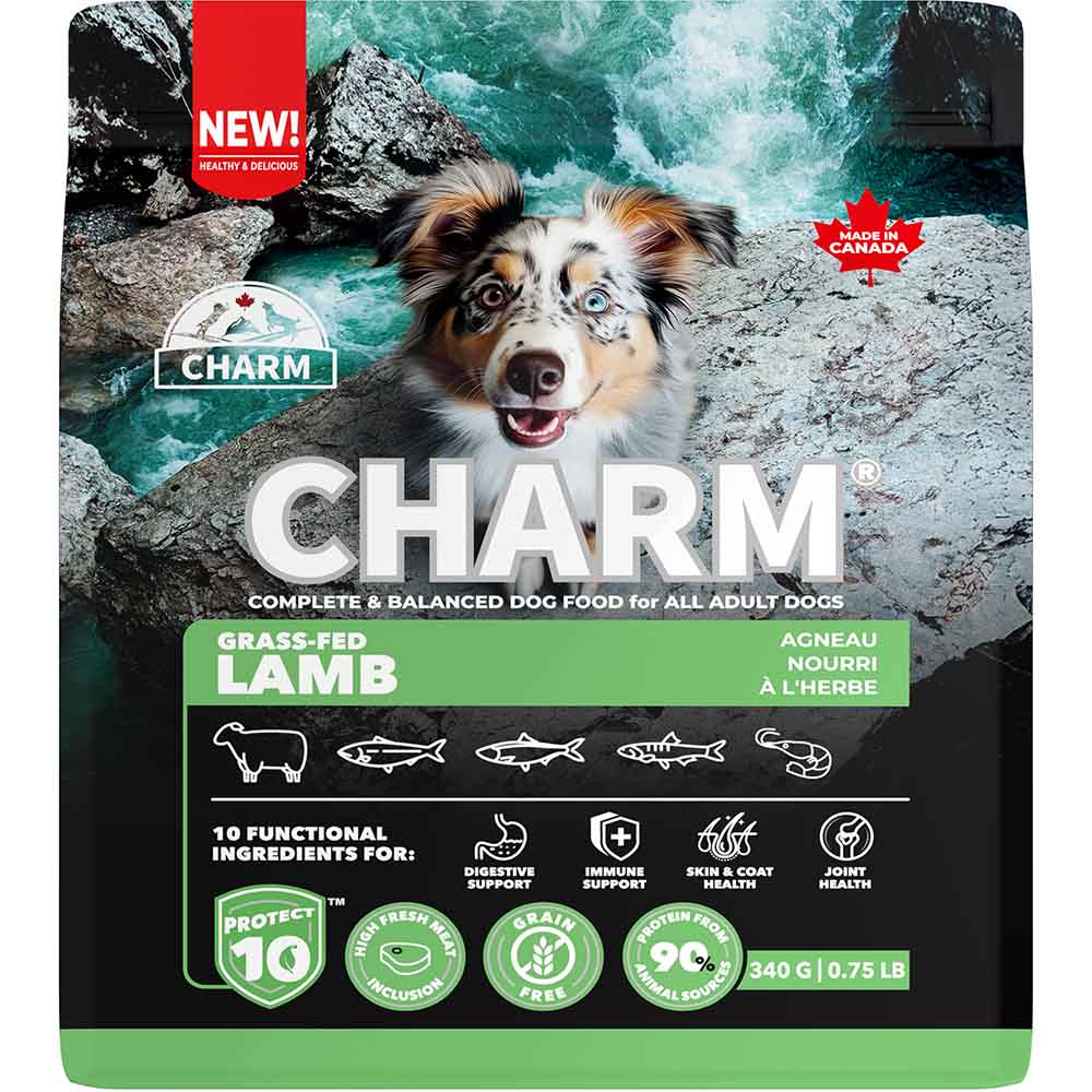 チャーム CHARM グラスフェッドラムドッグフード 340g