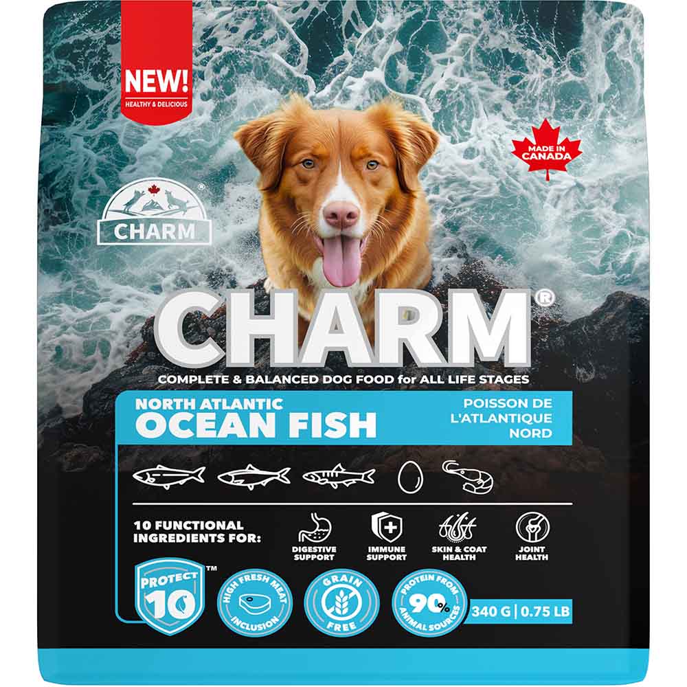チャーム CHARM ノース・アトランティック・オーシャン・フィッシュドッグフード 340g