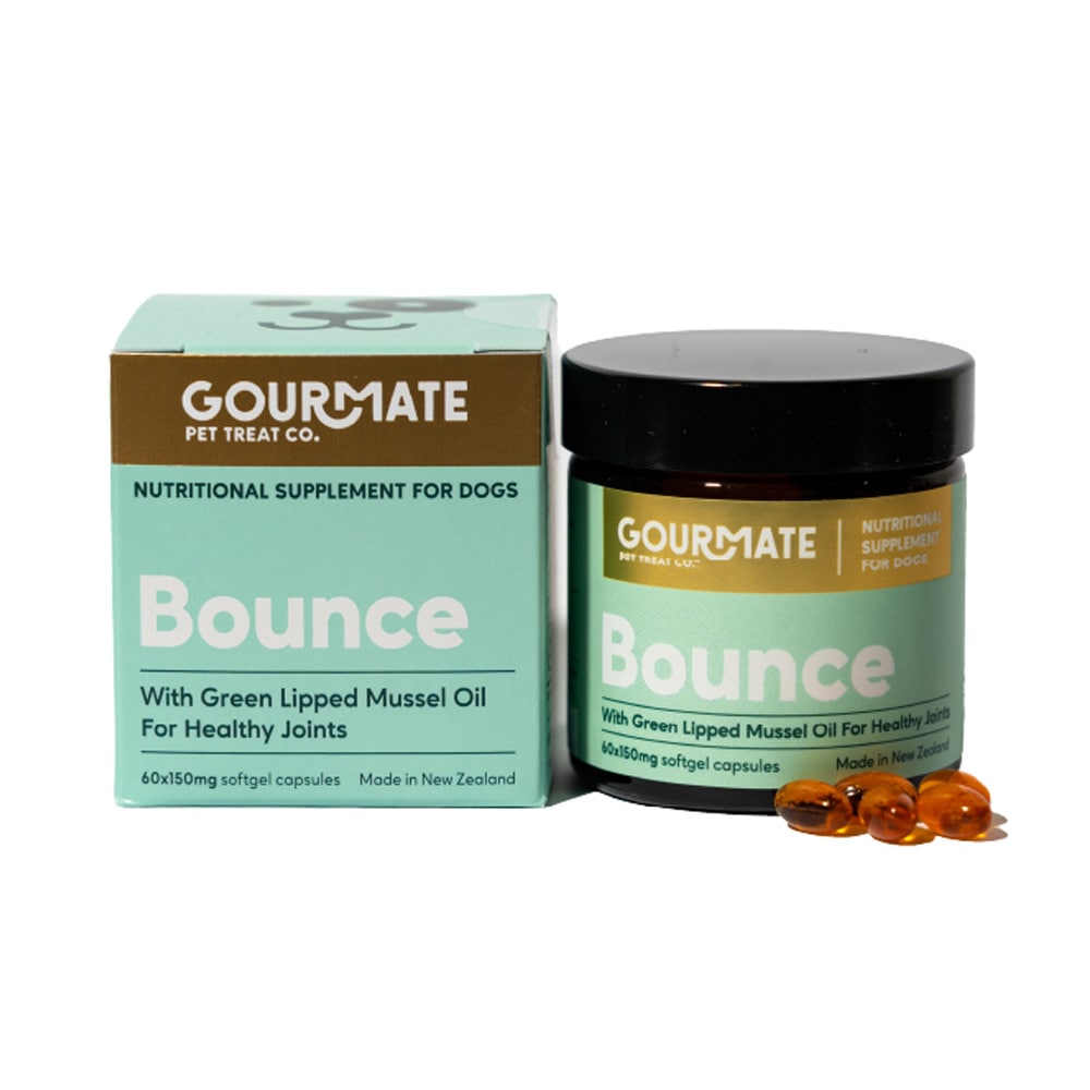 グルメイト ペット用サプリ Bounce関節･脳機能サポート