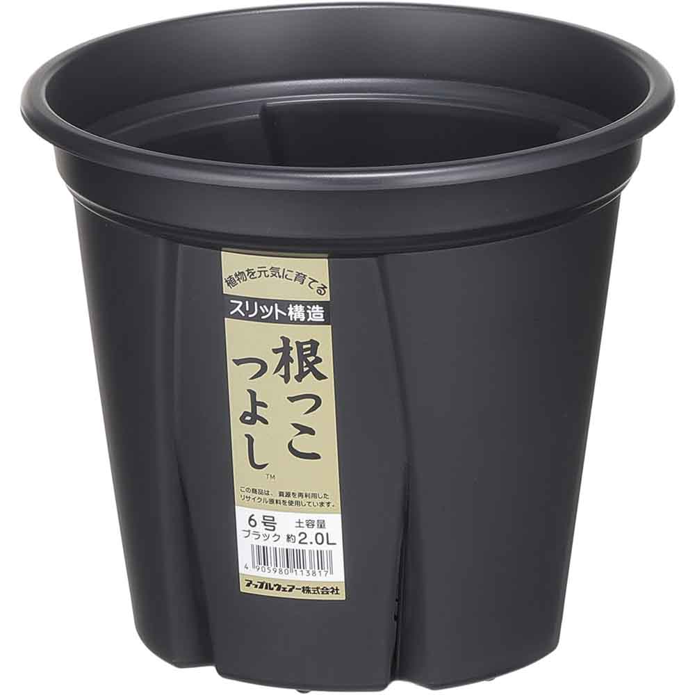 アップルウェアー 根っこつよし 6号 ブラック