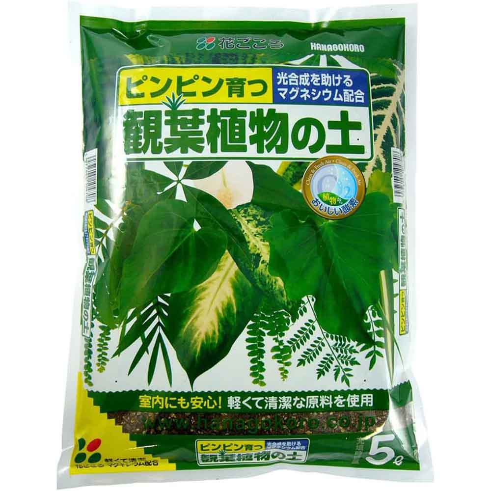 花ごころ 観葉植物の土 5L