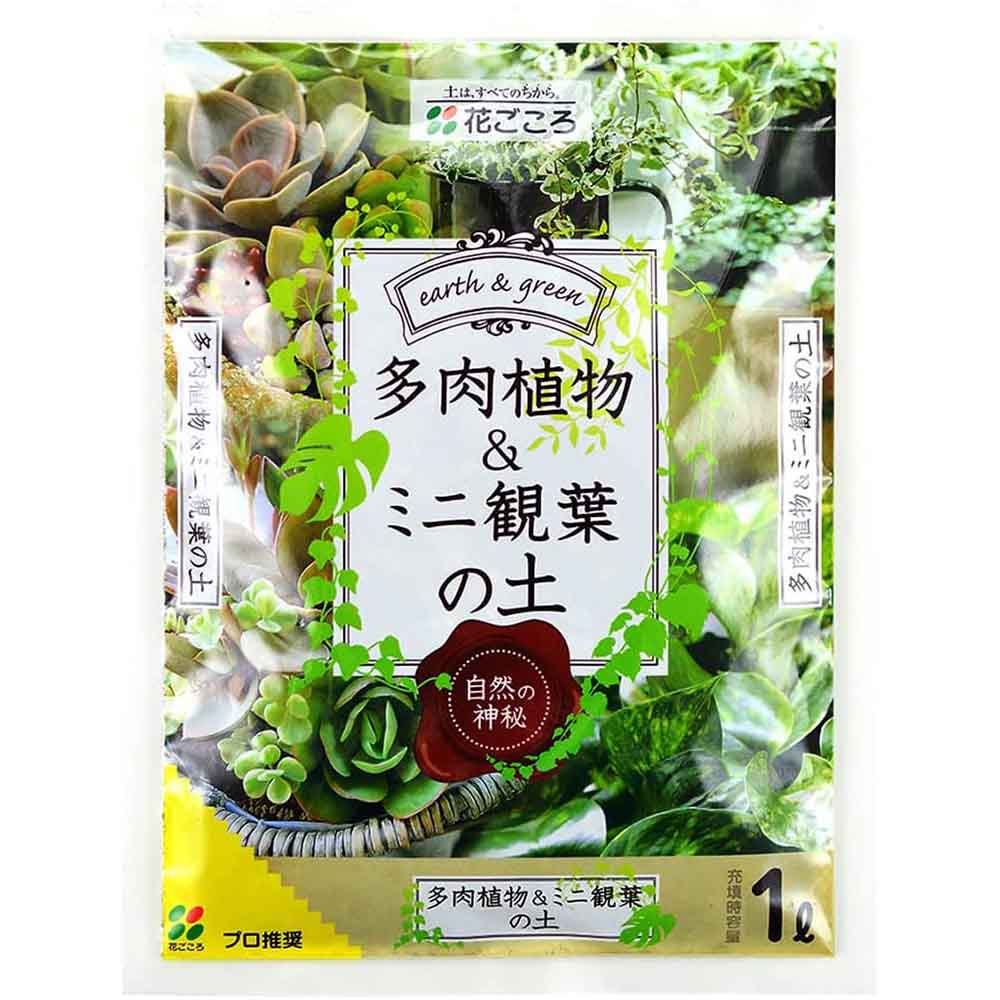 花ごころ 多肉植物＆ミニ観葉の土 1L