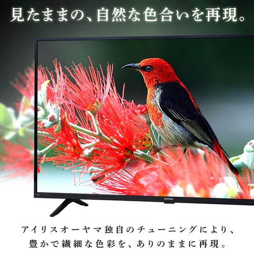 ハイビジョンテレビ 32V 32WB10PB ブラック: アイリスオーヤマ公式通販 ...