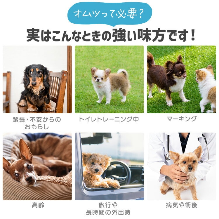 【480枚】ペット用おむつ ピタフィット XS 80枚入×6袋 男の子用 MNPD-XS80 XS(胴まわり:15~30cm)/6袋セット