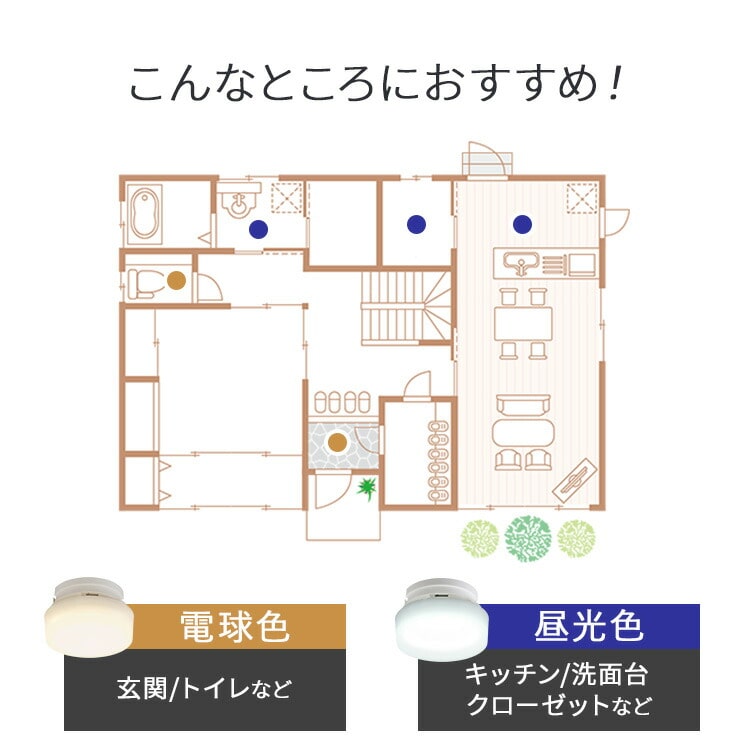 シーリングライト LED ledシーリングライト 高効率モデル 小型 アイリスオーヤマ 照明 照明器具 おしゃれ 天井 簡単取付 電球色 昼光色 昼白色 コンパクト キッチン 玄関 トイレ 小型シーリングライト SCL6L/N/D-MCHL SCL6L/D-H 安心延長保証対象 昼光色 高効率モデル