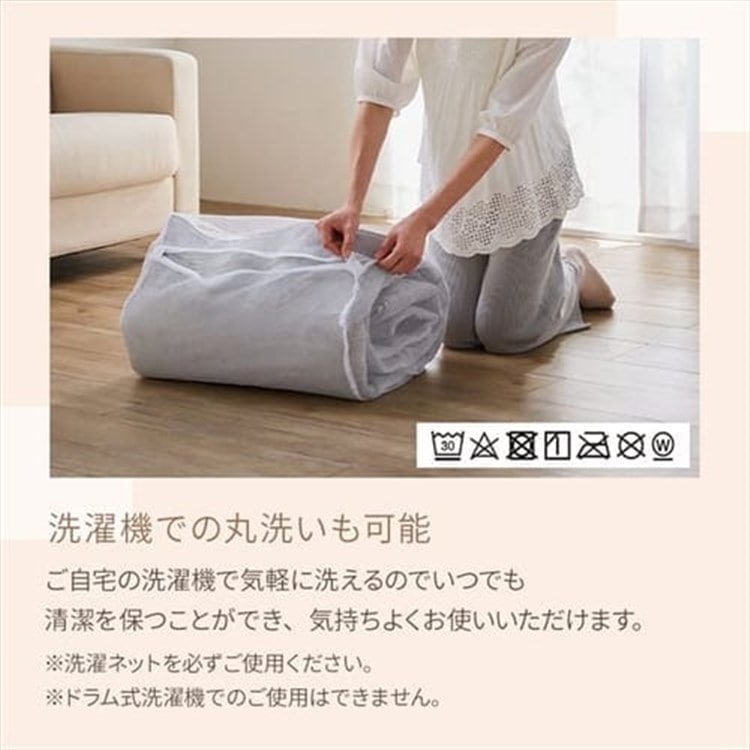 ラグ カーペット 洗える 洗えるラグ 北欧 ラグマット 絨毯 200×300 抗菌 防臭 滑り止め オールシーズン 床暖房 FNR-RC-2030 ベージュ ベージュ