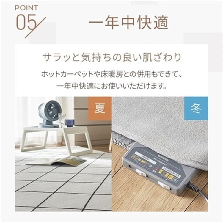 ラグ カーペット 洗える 洗えるラグ 北欧 ラグマット 絨毯 200×300 抗菌 防臭 滑り止め オールシーズン 床暖房 FNR-RC-2030 スターグレー スターグレー