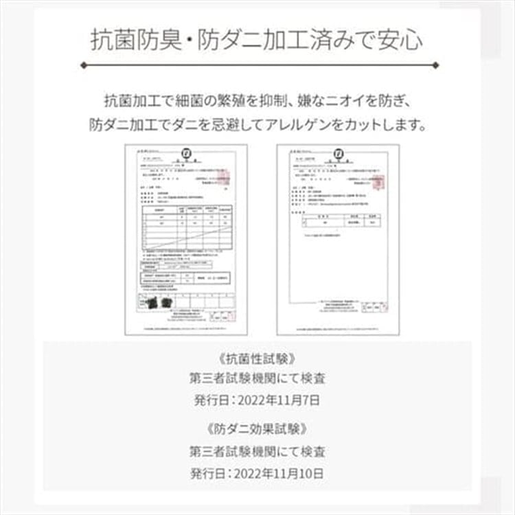 ラグ カーペット 洗える 洗えるラグ 北欧 ラグマット 絨毯 200×300 抗菌 防臭 滑り止め オールシーズン 床暖房 FNR-RC-2030 アイボリー アイボリー
