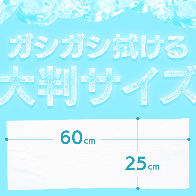 首かけ ひんやり 冷却タオル 25×60cm 10本入り ノンアルコールタイプ ノンアルコールタイプ