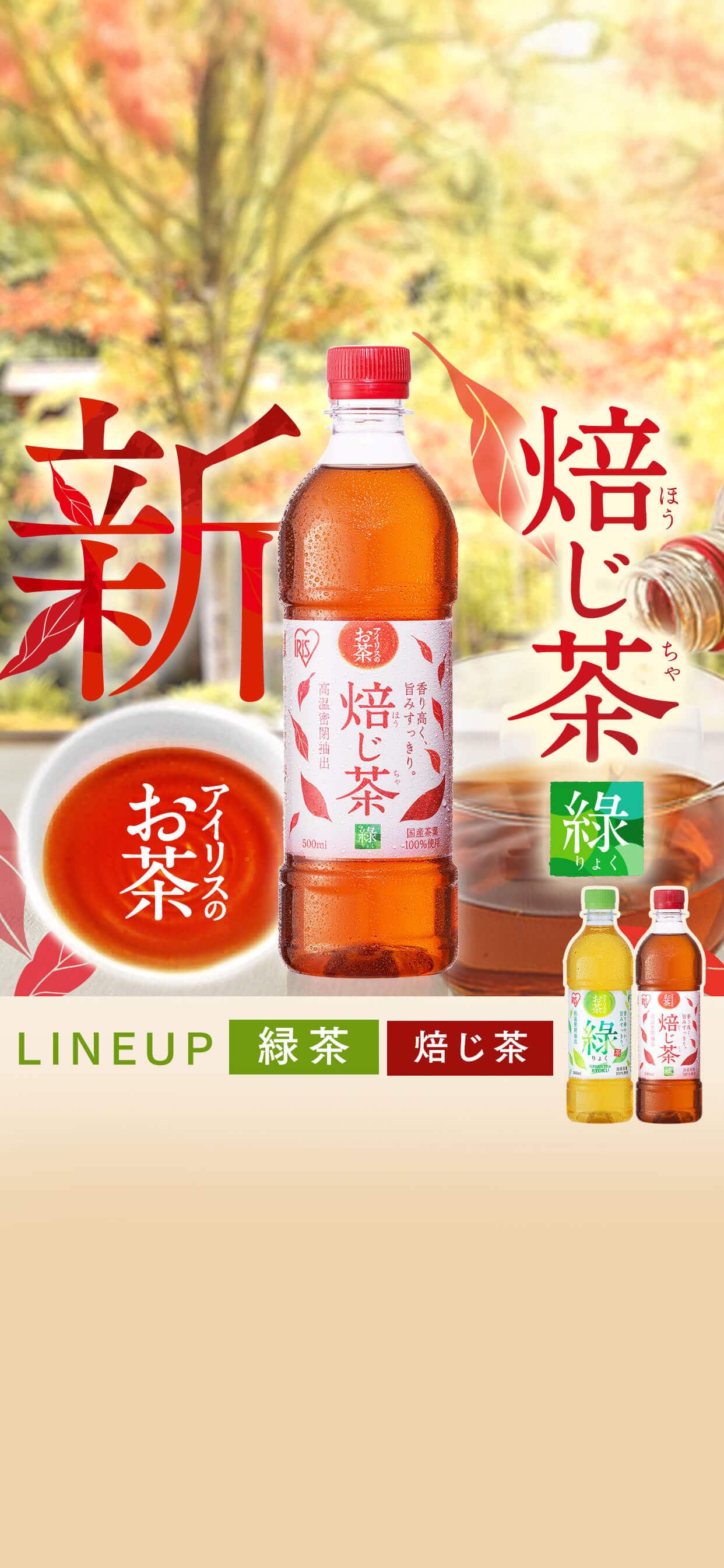 アイリスのお茶 りょく 500ml×24本