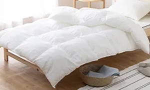 布団・寝具 カテゴリ画像