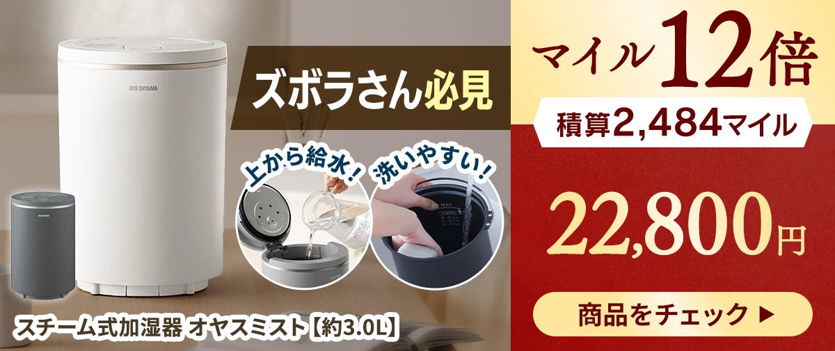 スチーム式加湿器 オヤスミスト 商品画像