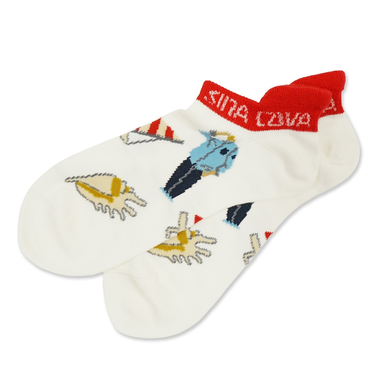 [SINA COVA]スモールソックス(23～25cm) オフホワイト 26178430