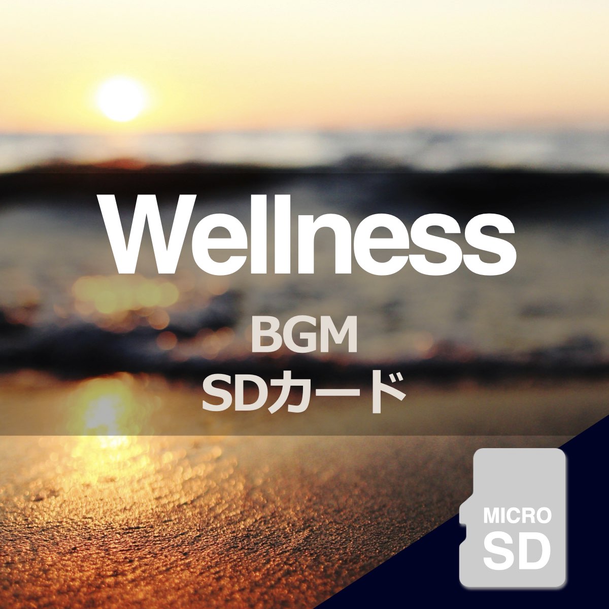 (ウェルネスBGM)音源入SDカード 高音質 免疫力 自律神経 リラクゼーション 楽曲 音楽 名曲 ウェルネスBGM