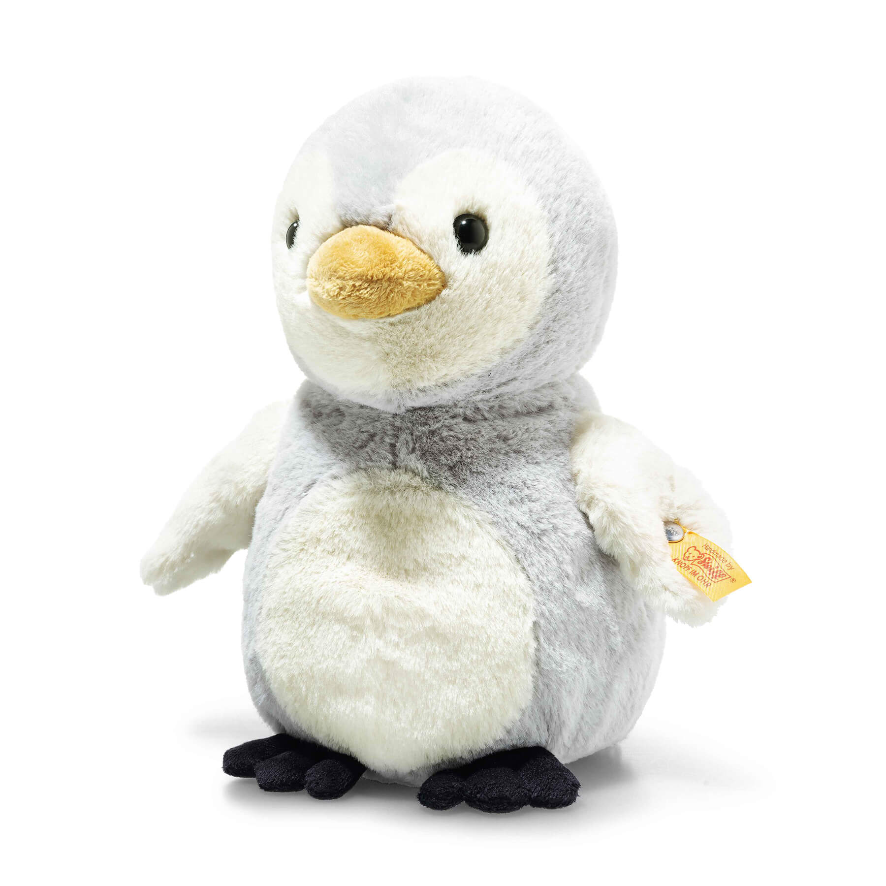 赤ちゃんペンギンのリオ