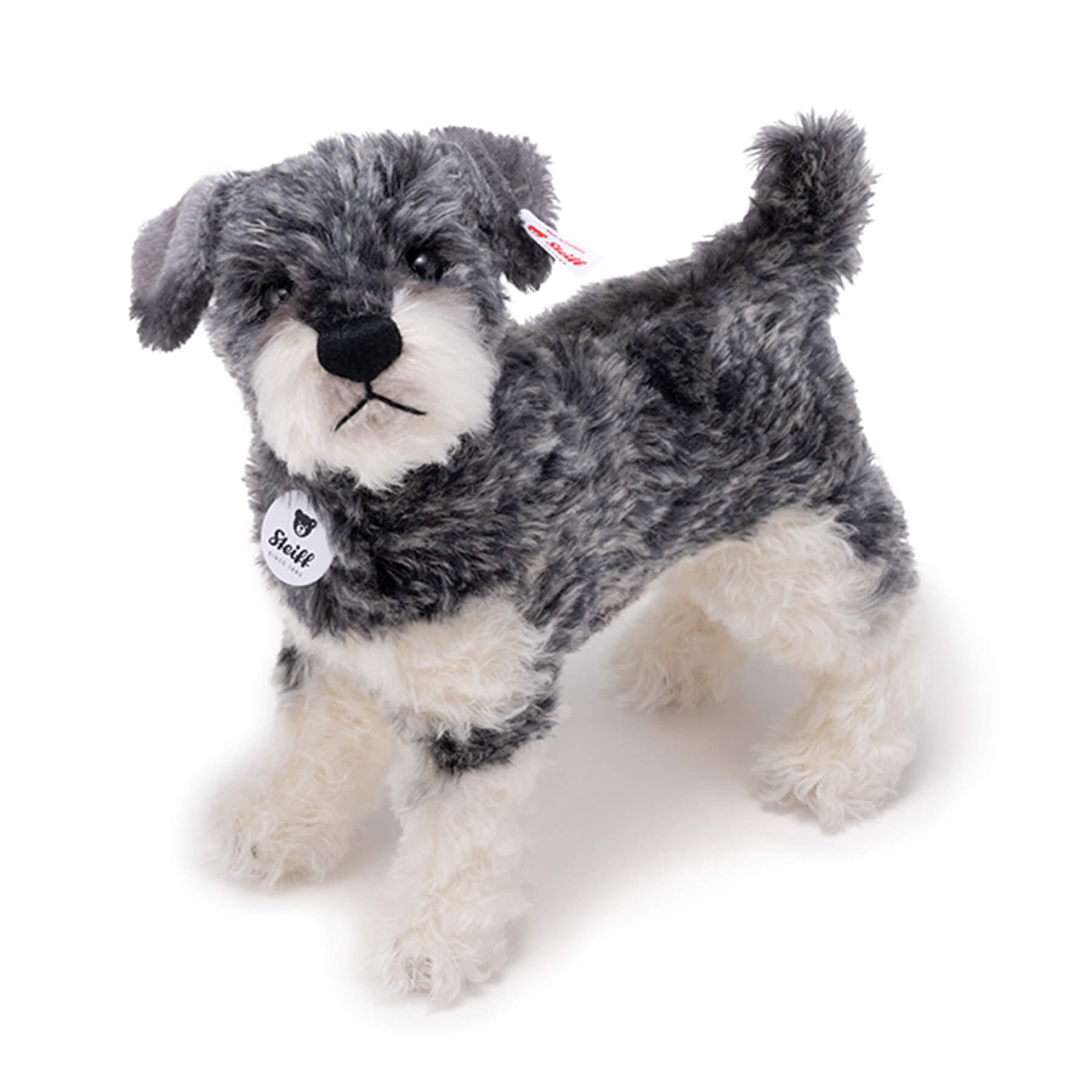 【日本限定】シュナウザー■