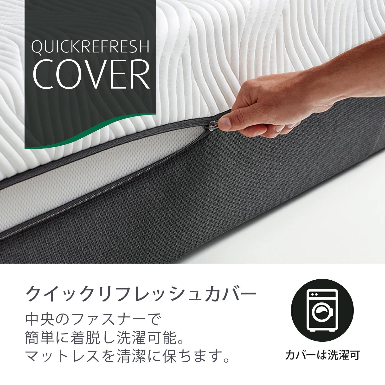 《テンピュール》プロ シングル ややかため ややかため