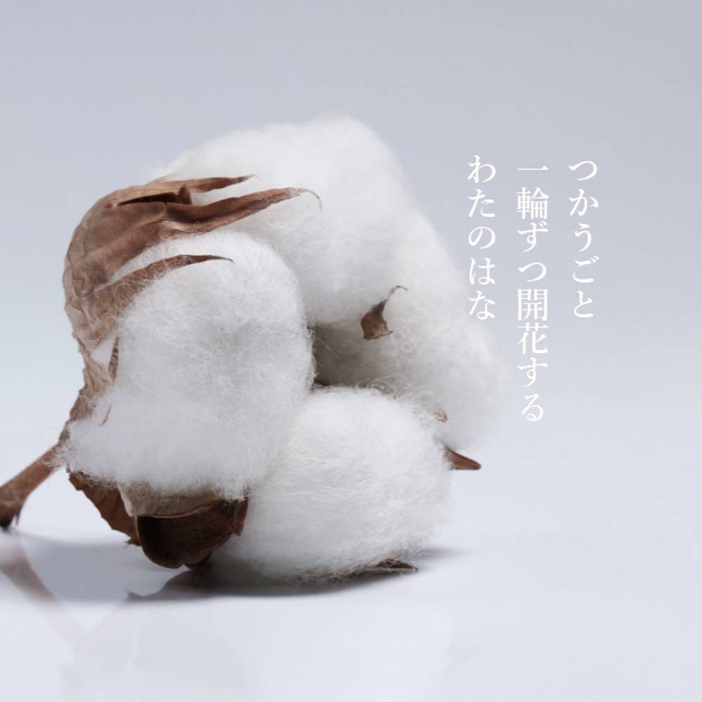 わたのはな No.3 ピンク ピンク