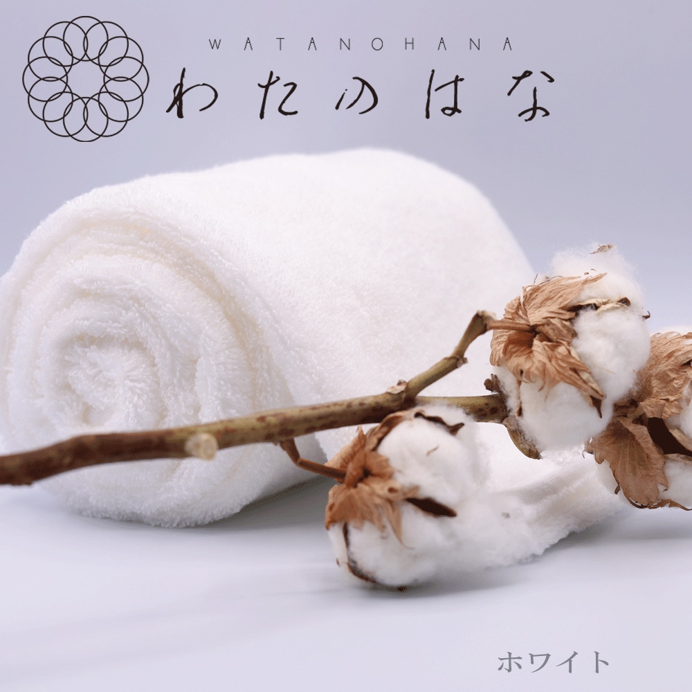 わたのはな　No.3　ホワイト