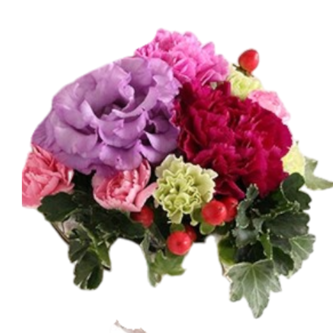 ピンク＆パーブル