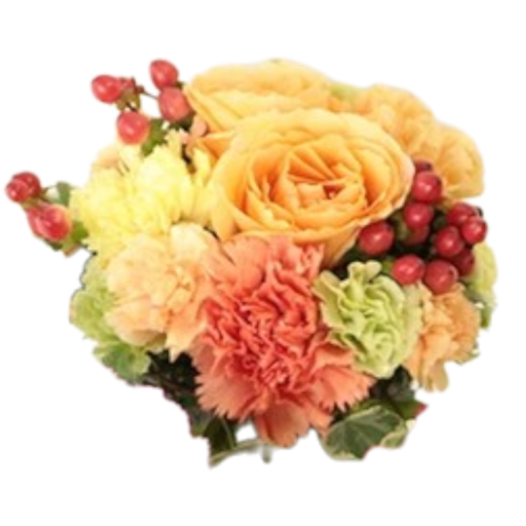 イエロー＆オレンジ