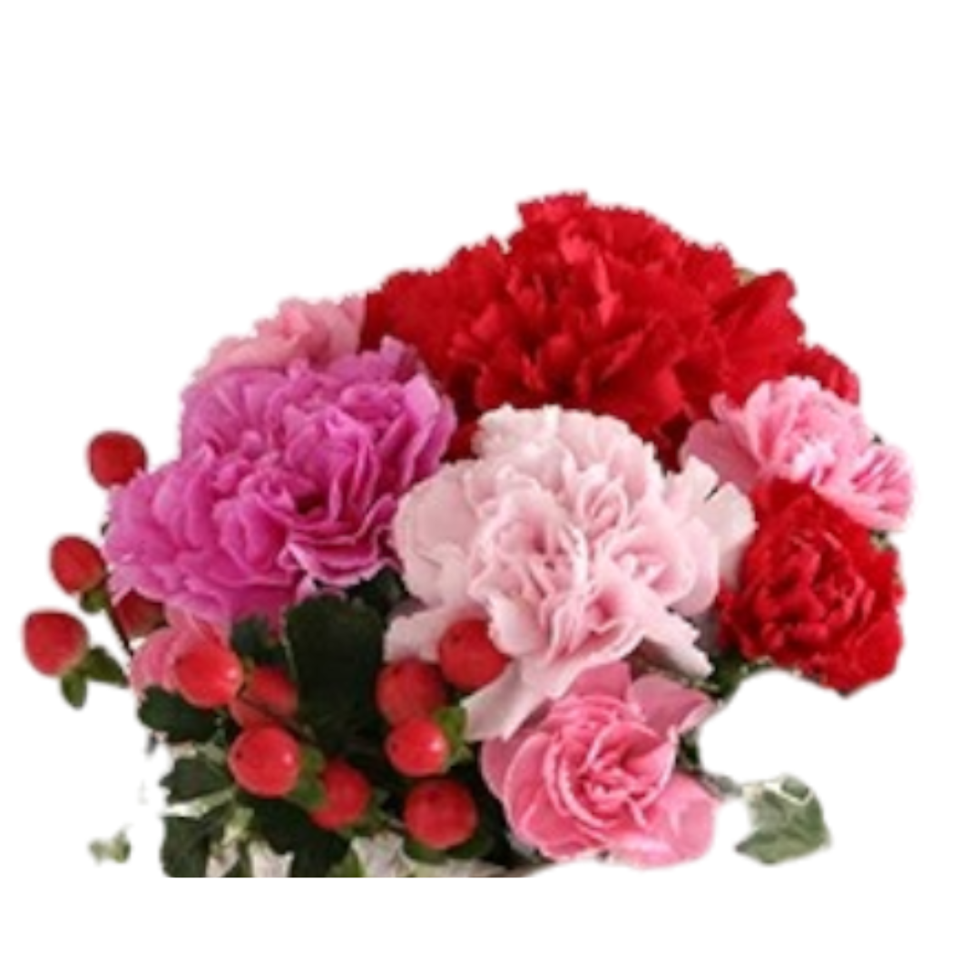 レッド＆ピンク