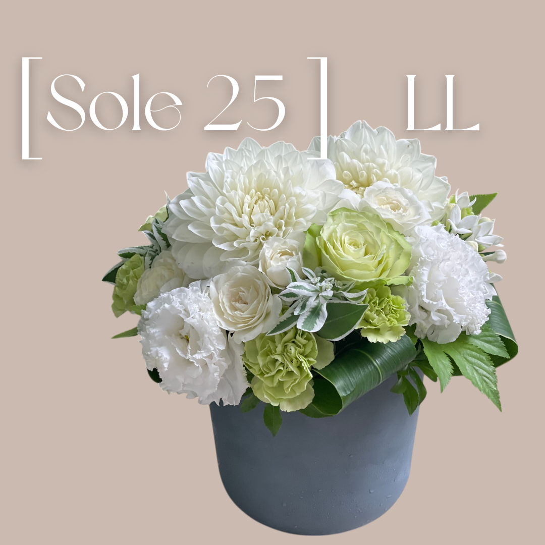 Sole  25  (サイズLL)　 サステナブルなECOPOTS採用(GRAY)