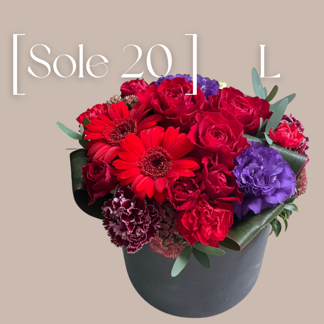 Sole  20  (サイズL)　 サステナブルなECOPOTS採用(GRAY)