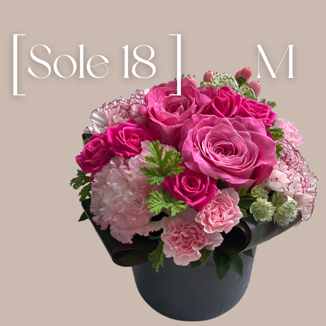 Sole  18  (サイズM)　 サステナブルなECOPOTS採用(GRAY)