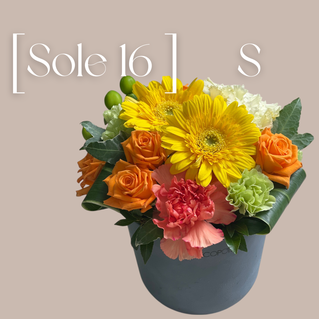 Sole  16  (サイズS)　 サステナブルなECOPOTS採用(GRAY)