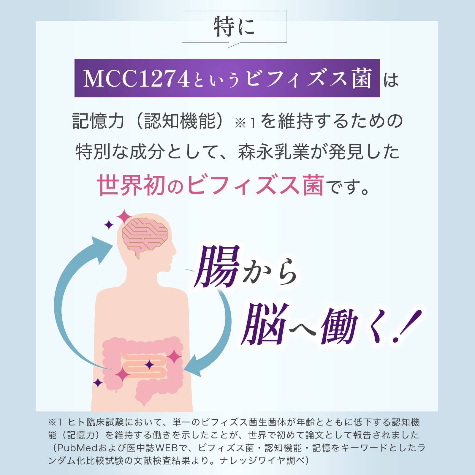 ビフィズス菌MCC1274 200億個配合 腸脳相関ケアサプリ キオクビフィ 30日分 機能性表示食品 腸活 記憶サポート 国内製造 劉勇 りゅうゆう
