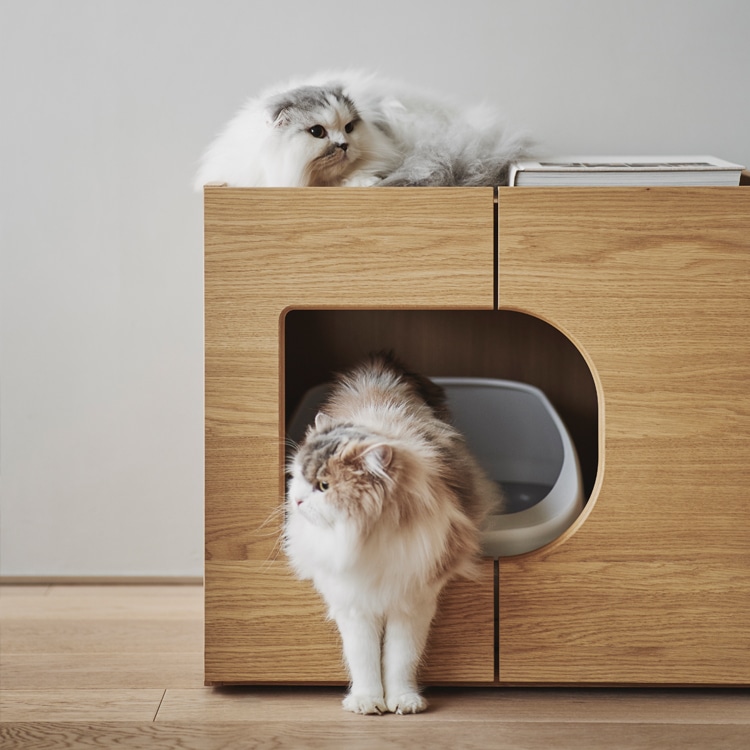 KARIMOKU CAT RESTROOM (Sheer white)((WxDxH) 633 x 601 x 554 mm Sheer  white): KARIMOKU CAT｜JAL Mall｜マイルがたまる・つかえる ショッピングモール