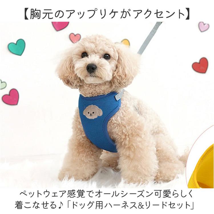 小型 犬 ハーネス リード セット 通販 ハーネスリード ハーネス