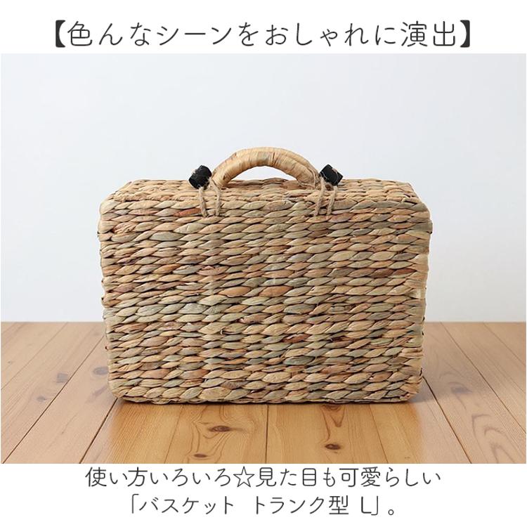 バスケット ピクニック 通販 Lサイズ ウォーターヒヤシンスバスケット