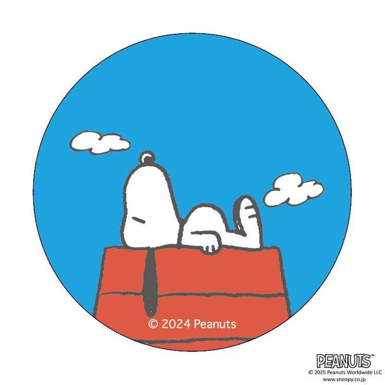 スヌーピー　缶バッチ PEANUTS スヌーピー 刺繍缶バッジ デニム プレゼント