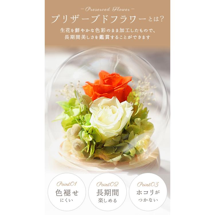 プリザーブドフラワー ガラスドーム 通販 フラワー