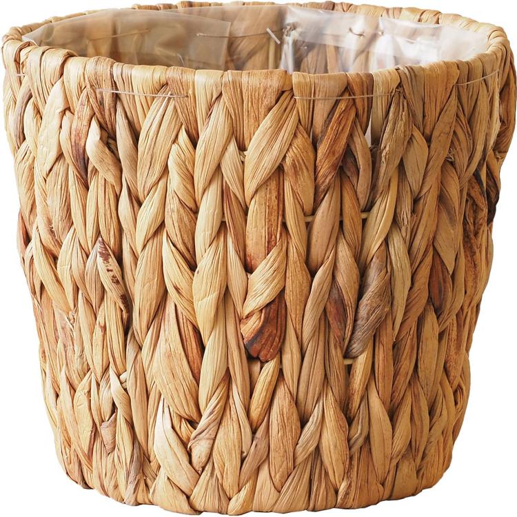 ウォーターヒヤシンス