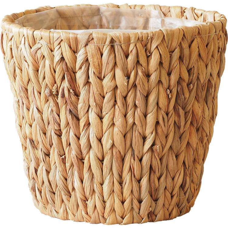 ウォーターヒヤシンス