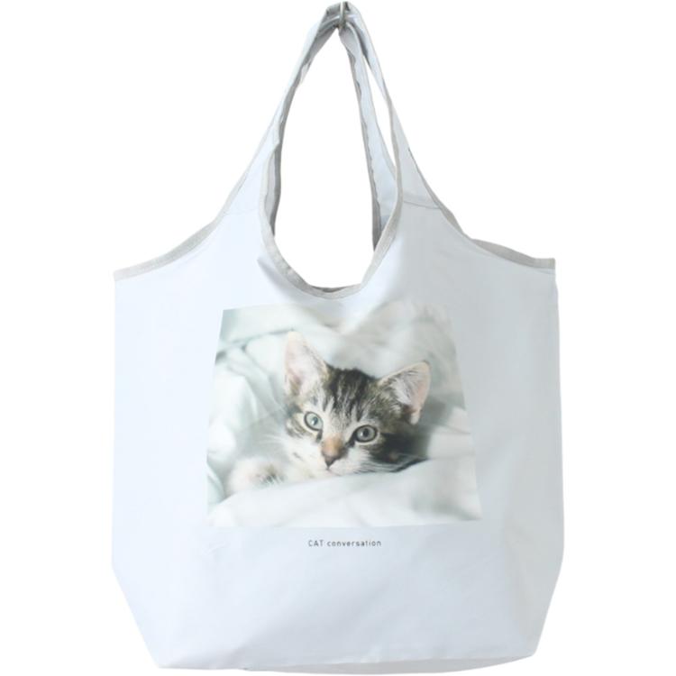 アメリカンショートヘアー