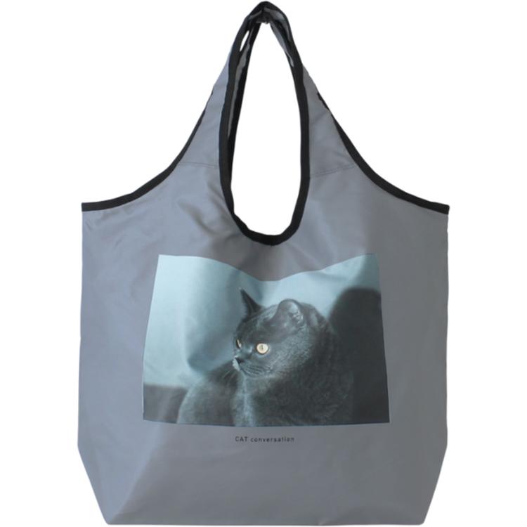 ブリティッシュショートヘアー