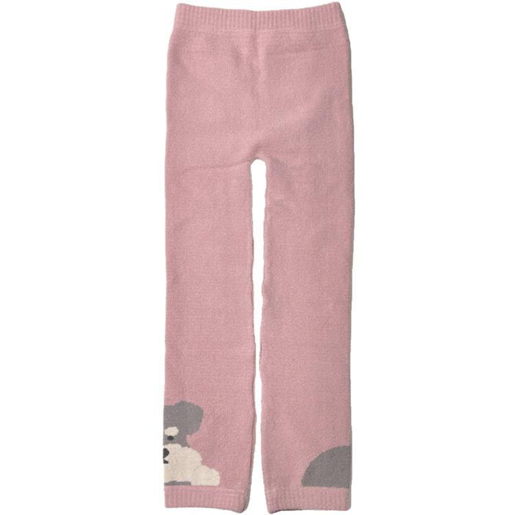 シュナウザーPI