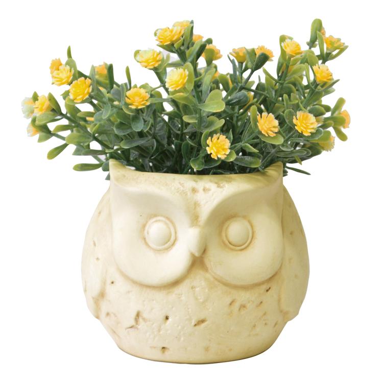 フクロウ/デイジーYE