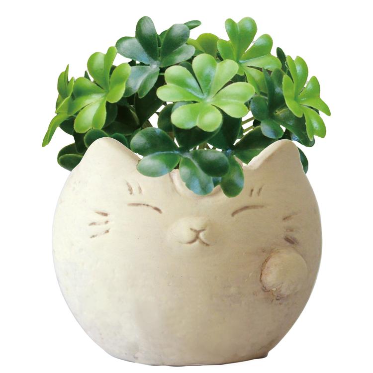 ネコ/クローバー