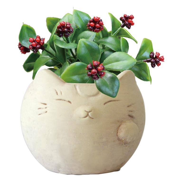 ネコ/マルベリー